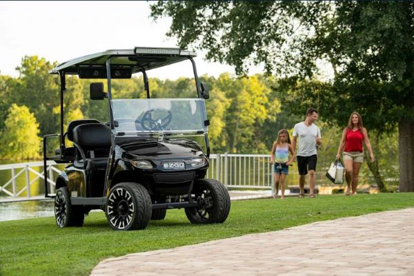 Bateria de carrinho de golfe